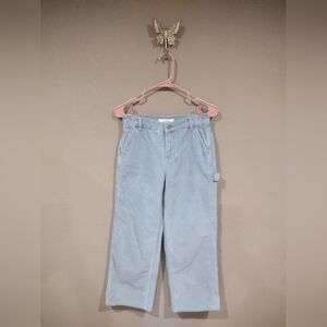 Pacsun Baggy Carpenter Baby Blue Corduroy Pants